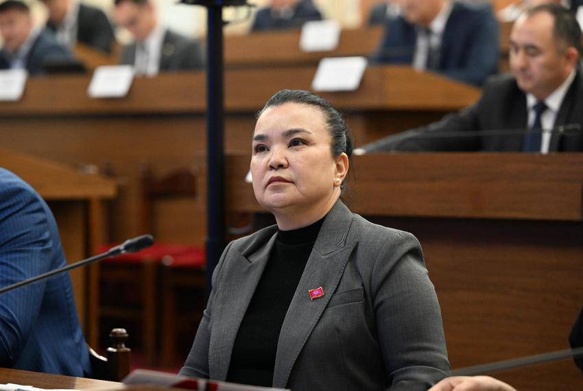 “Ўзбекистондан гуруч контрабанда йўли билан олиб келинмоқда” — қирғиз депутати